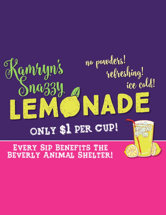 Kamryn’s Snazzy Lemonade Sign